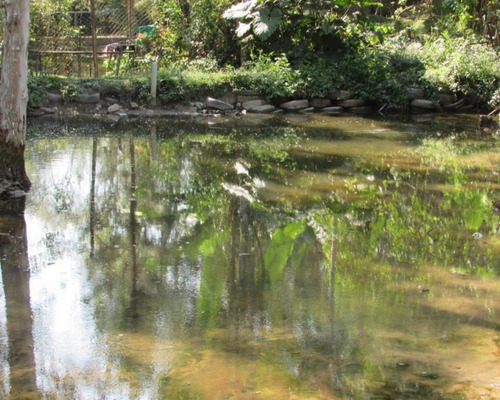 Imagem 28 de 30 de Juquitiba/chácara C/piscina/plana/pomar/ref:04464