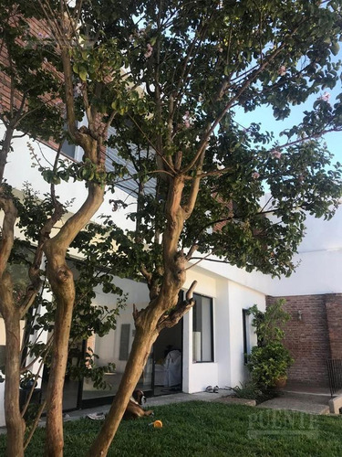 Imagen 17 de 17 de Casa - Banfield Oeste
