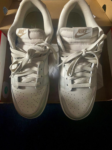 Zapatillas Nike Dunk Low (Usado)