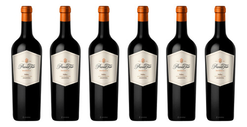 Vino Pascual Toso Reserva Malbec X6 - Oferta Celler