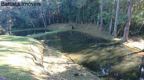 Imagem 16 de 30 de Chacara - 1653 - 34237545