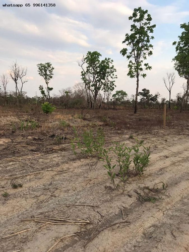 Imagem 4 de 15 de Lote Para Venda Em Acorizal, 07 De Maio - 10117_1-2260711