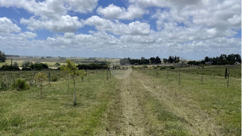 ¡tu Sueño Rural Hecho Realidad! Chacra De 5 Hectáreas En José Ignacio Espera Por Ti!