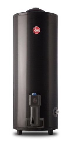 Termotanque A Gas Rheem 120 Litros Tgnp120rh Superior Pie