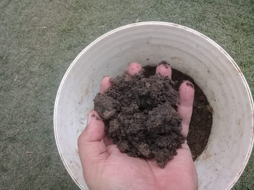 Imagen 3 de 3 de Tierra Negra De Las Yungas X 20 Lts, Envase De Regalo