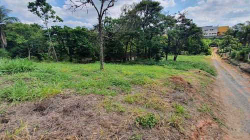Imagem 2 de 4 de Chácara À Venda Em Joapiranga - Ch002243