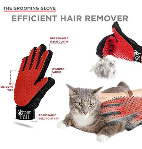 Kit De Aseo Profesional Completo Para Mascotas | Cepillo Aut