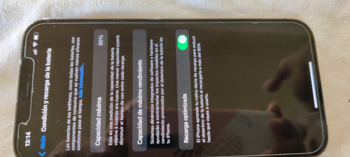 iPhone 12 Pro Max 256 Gb (Usado)