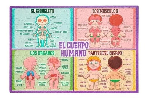 Rompecabezas Cuerpo Humano 210pzs Barco Papel