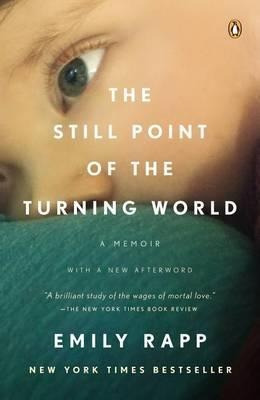 The Still Point Of The Turning World - Emily Rapp Black