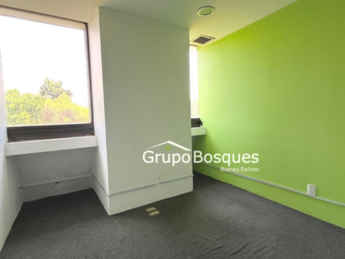 Oficinas En Renta En Constituyentes - San Miguel Chapultepec