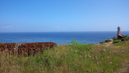 Imagen 3 de 8 de Terreno En Punta Ballena Con Espectacular Vista Al Mar