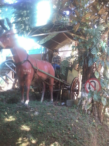 Imagem 10 de 14 de Aluga Chacara Sitio Temporada Eventos Toca Suzano Riberao