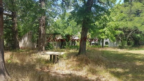 Venta De Chacra En Maldonado, Punta Ballena 5 Has - Ref: 19265