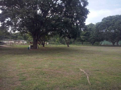 Imagen 3 de 17 de Finca En Venta Calabozo Edo.guárico