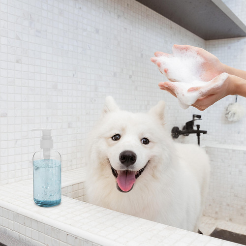 Dispensadores De Loción De Baño, 5 Unidades, Botellas De Man