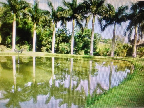 Imagem 4 de 6 de Hotel Dinastya
