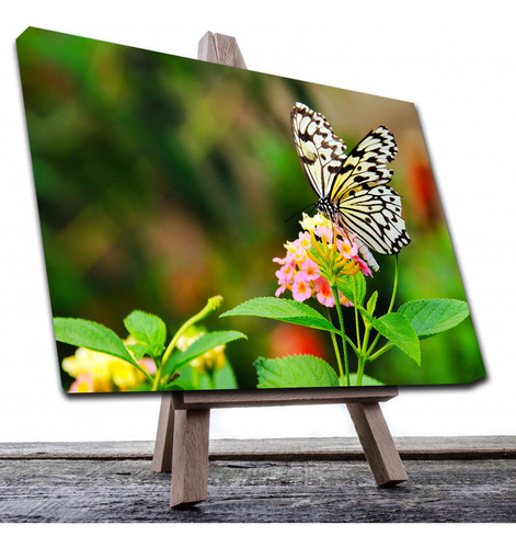 Cuadro Decorativo Canvas Paisaje De Mariposa Monarca Blanca