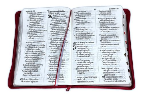 Biblia Reina Valera 1960 Letra Supergigante Roja Con Cierre