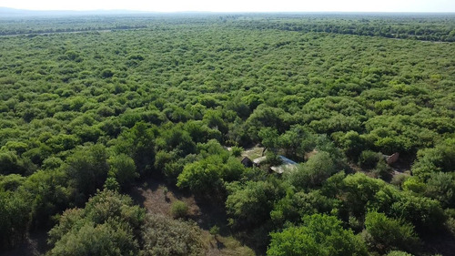 Campo De 50 Hectareas En Venta En Conlara, Traslasierra!!