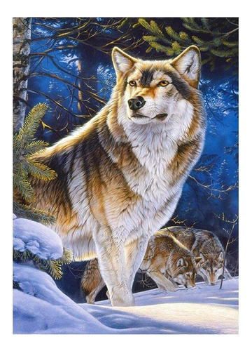 Pintura Numero Para Niño 8 12 Año Edad Lobo Animal Canidae