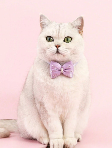 Collar Para Gato De Moño Con Perlitas. Elegi Color. Violeta U