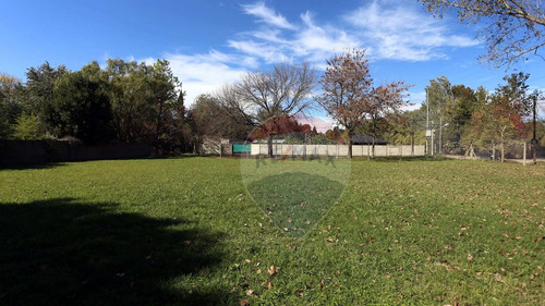 Imagen 22 de 30 de 3 Casas Quintas Sobre 4800 M2 En Las Lomas Ezeiza