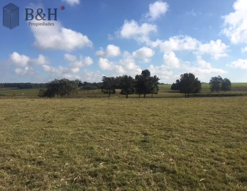 Chacra En Venta De 5 Hectáreas - Camino Medellin