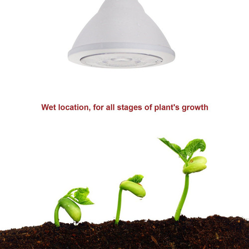 Bulb Led De Crecimiento For Plant Par38, Hydroponic Spectrum Complete Cultivo For Interior Cultivo, Invernadero With Base E26