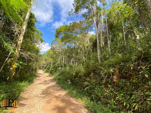 Imagem 1 de 15 de Chácara De 2.500m2 `a 2,5km Do Centro De Juquitiba À Venda Bairro Cachoerinha - Ch07781 - 69454197