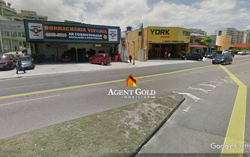 Imagem 2 de 20 de Terreno À Venda, 54000 M² Por R$ 65.000.000,00 - Barra Da Tijuca - Rio De Janeiro/rj - Te0041
