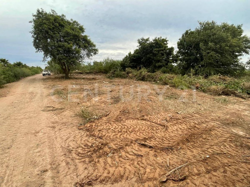 Terreno En Venta, Ejido Flores Magon, Lote 1, Detras Del Dren Mochicahui