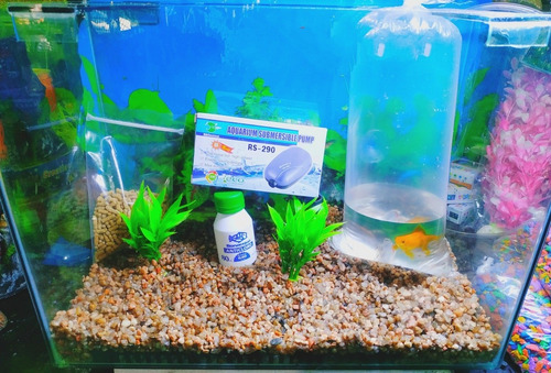 Kit Pecera Completa 50x35x20 Con 1 Pez De Regalo!