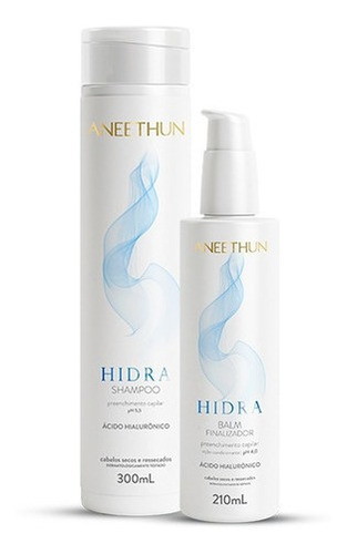 Kit Aneethun Shampoo E Finalizador Hidra