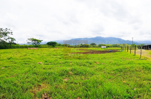 Cañas Gordas 40.000 M2.