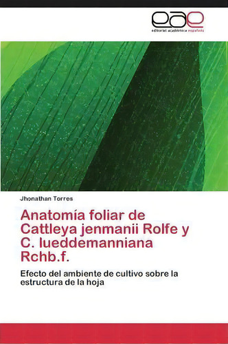 Anatomia Foliar De Cattleya Jenmanii Rolfe Y C. Lueddemanniana Rchb.f., De Torres Jhonathan. Editorial Eae Editorial Academia Espanola, Tapa Blanda En Español