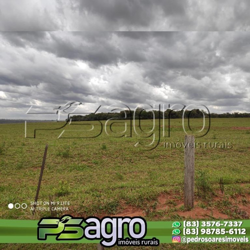 Imagem 3 de 5 de Fazenda 235 Alq. Em Tacuru/ms Por R$ 14.100.000,00 - Fa0091