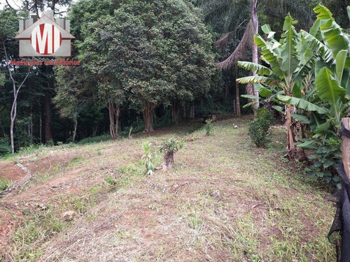 Imagem 8 de 23 de Ótima Chácara Com 3 Dormitórios, Córrego, Pomar, Excelente Localização, À Venda, 3000 M² Por R$ 215.000 - Zona Rural - Pinhalzinho/sp - Ch0848