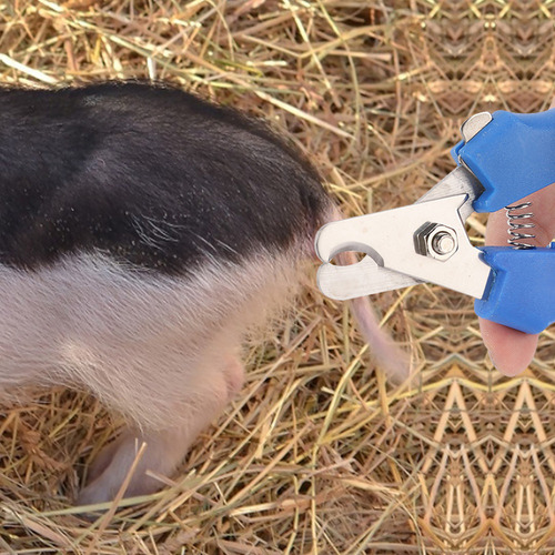 Pinzas Para Cortar Cola De Cerdo, Cortador De Alta Calidad