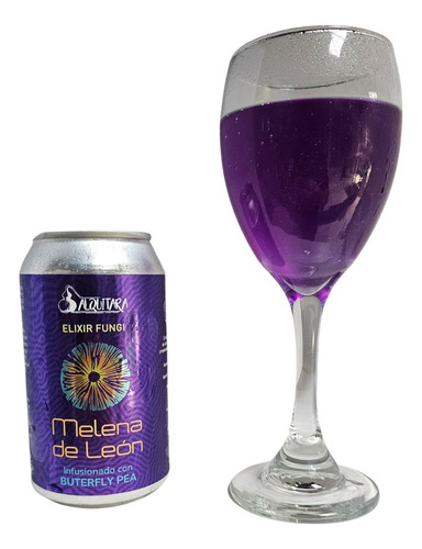 Elixir Fungi Melena De León Reishi Lata 355 Ml Pack 4 Ud