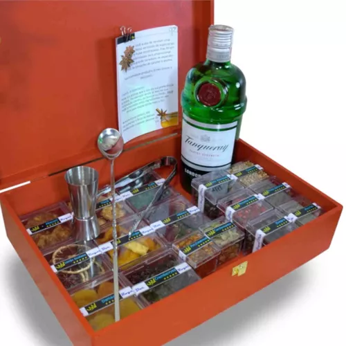 Kit Gin Tonica Tanqueray com taça, especiarias e dosador