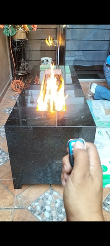 Quemador De Chimenea De Gas Nat Y Lp A Control Remoto ...