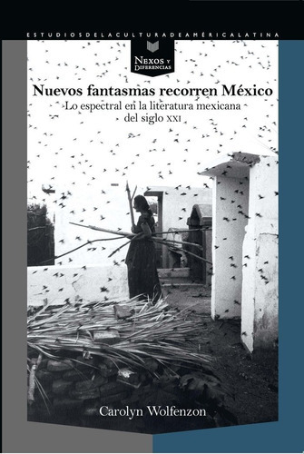 Nuevos Fantasmas Recorren Mãâ©xico, De Wolfenzon, Carolyn. Iberoamericana Editorial Vervuert, S.l., Tapa Blanda En Español
