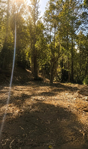 Parcela 5,000 M2 Con Acceso Privado A 15 Min De Valdivia 38m