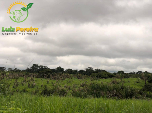 Imagem 15 de 15 de Fazenda À Venda Em Pacaja - Pa - De 1.900 Alqueires (dupla Aptidão) - 1649