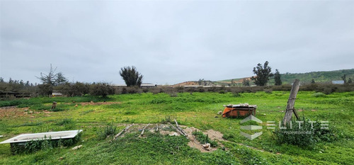 Industrial En Venta En Casablanca