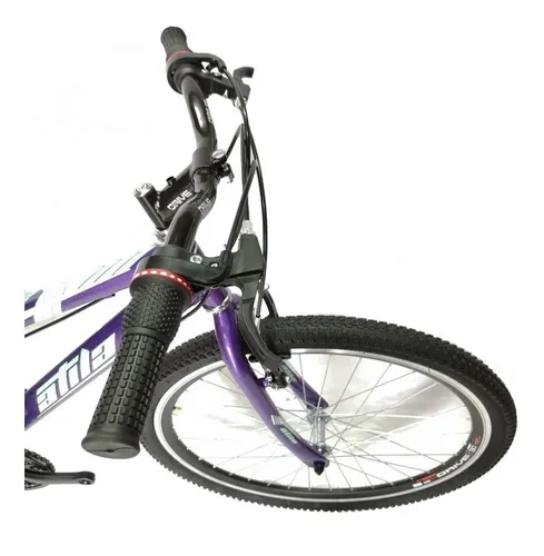 Bicicleta Todo Terreno Rin 26 En Acero 18 Velocidades Aro Dp