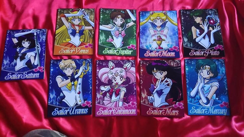 Cuadro Sailor Moon