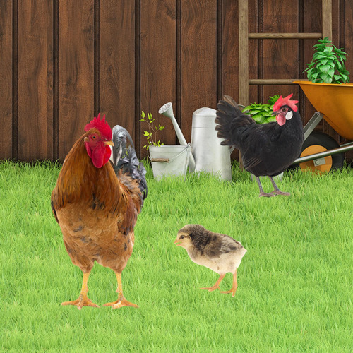 3 Estacas De Estatua De Pollo, Adornos De Animales,