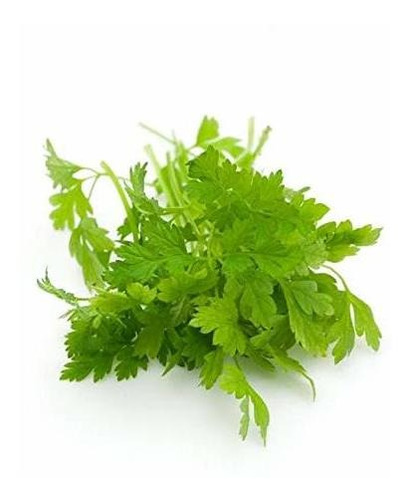 Semillas De David's Garden Herb Chervil Vertissimo Sl2441